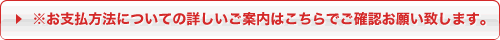 ※お支払方法についての詳しいご案内はこちらでご確認お願い致します。